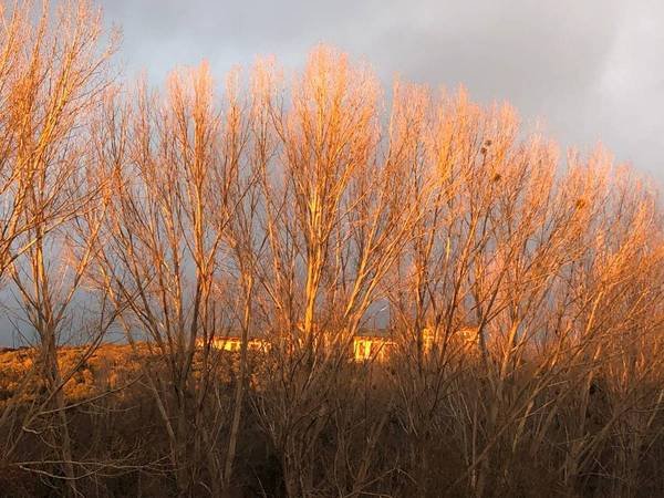 Ifrane